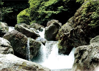 滝のイメージ写真